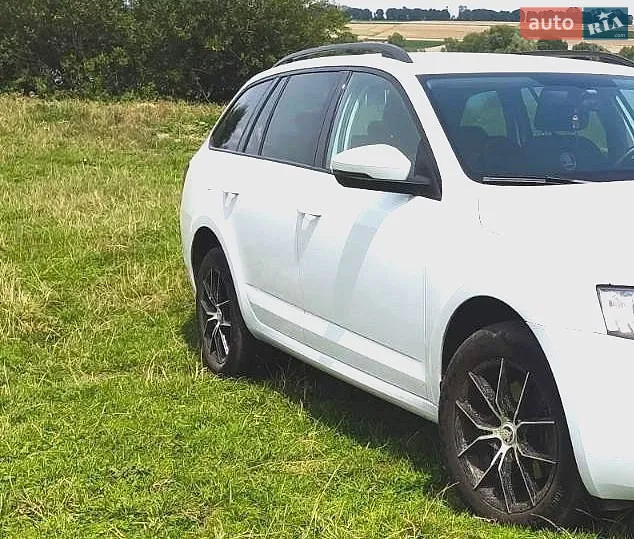 2016 Skoda Octavia - мініатюра 29