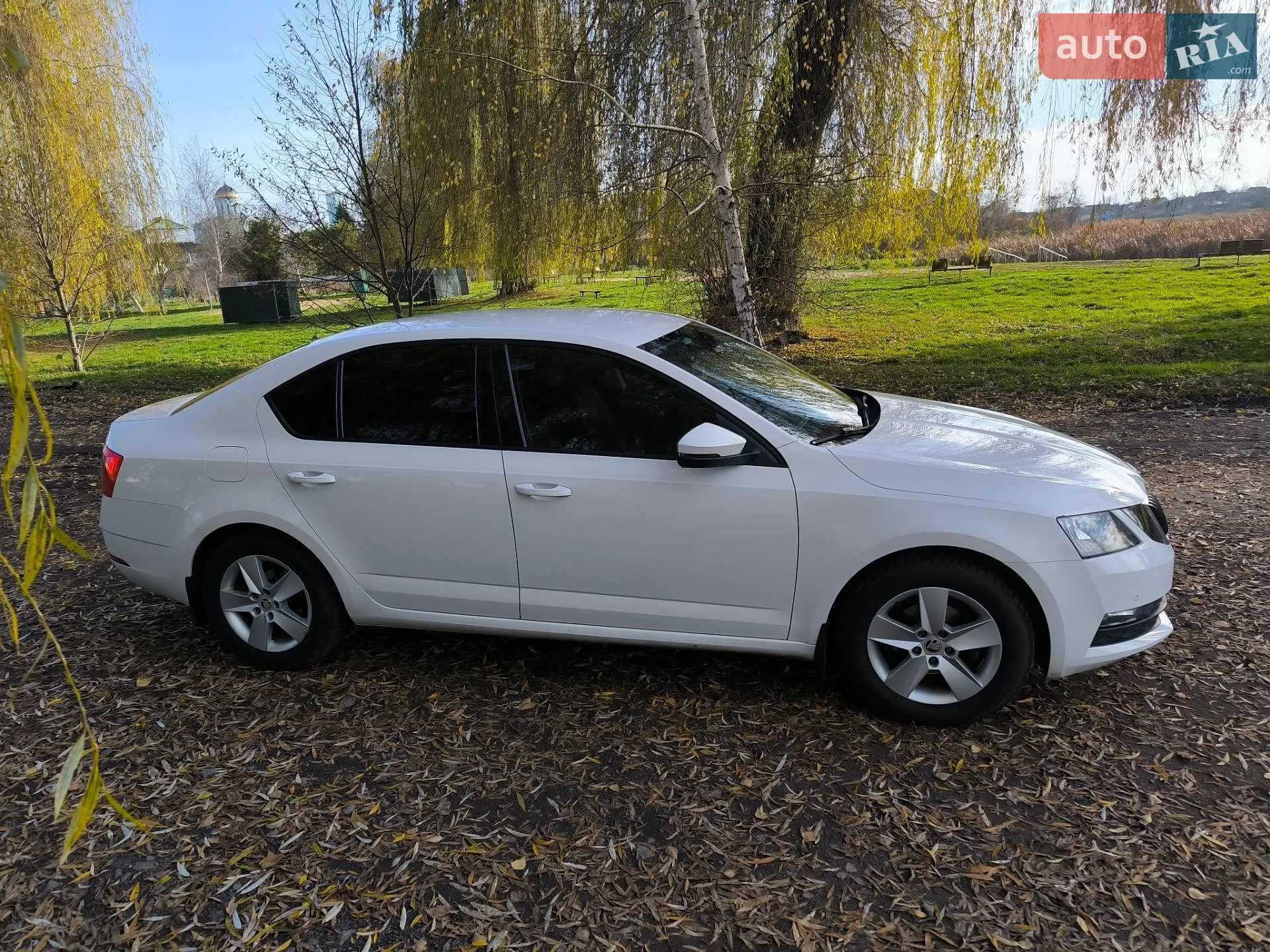 2018 Skoda Octavia - мініатюра 13