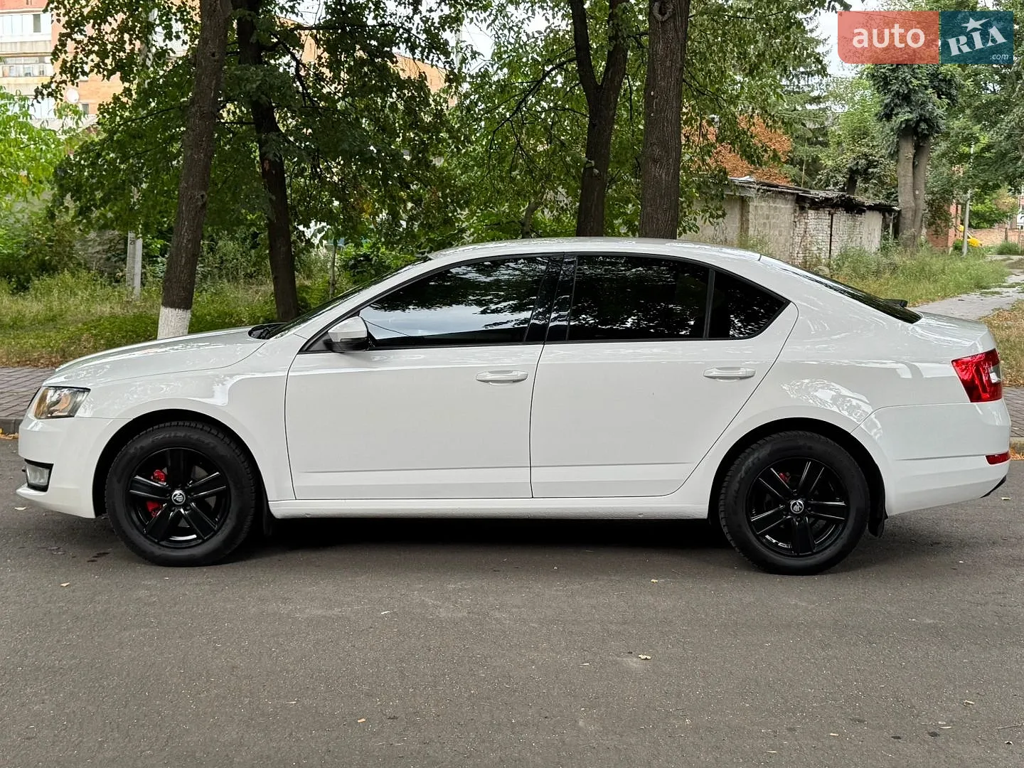 2016 Skoda Octavia - мініатюра 4