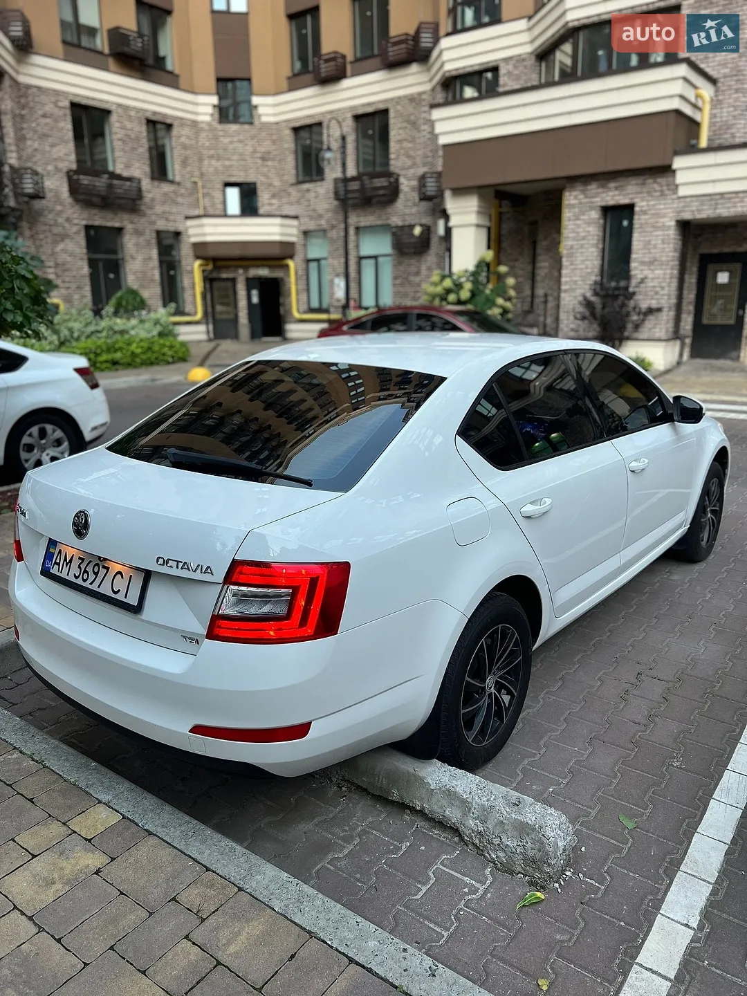 2013 Skoda Octavia - мініатюра 5