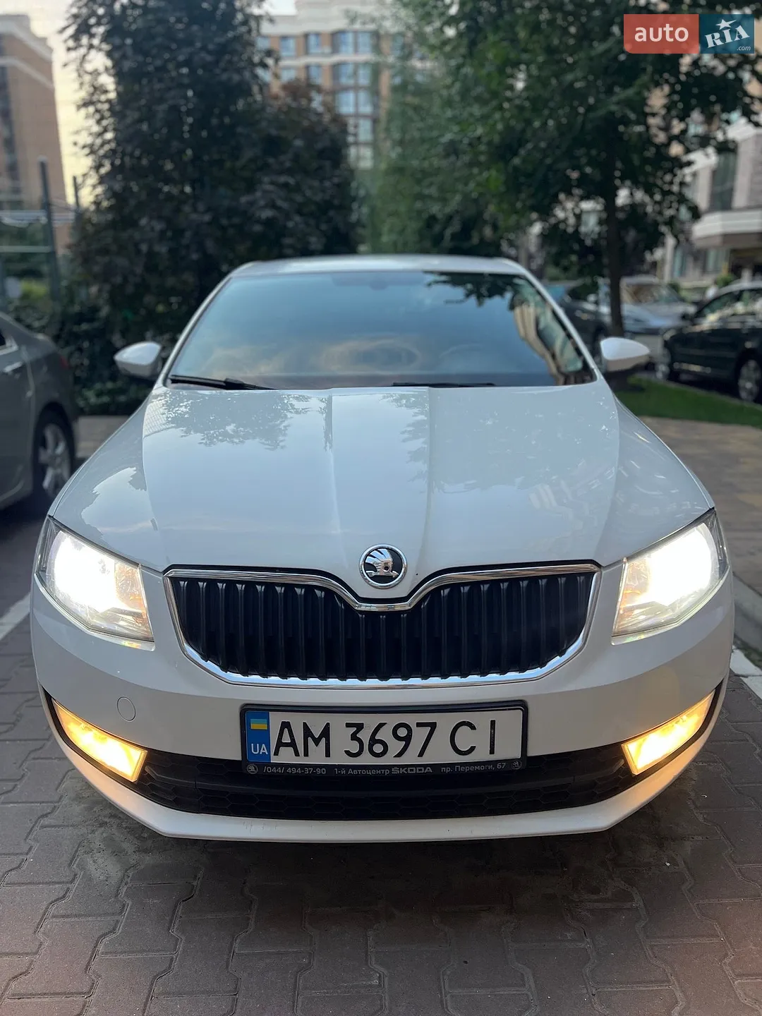2013 Skoda Octavia - мініатюра 3