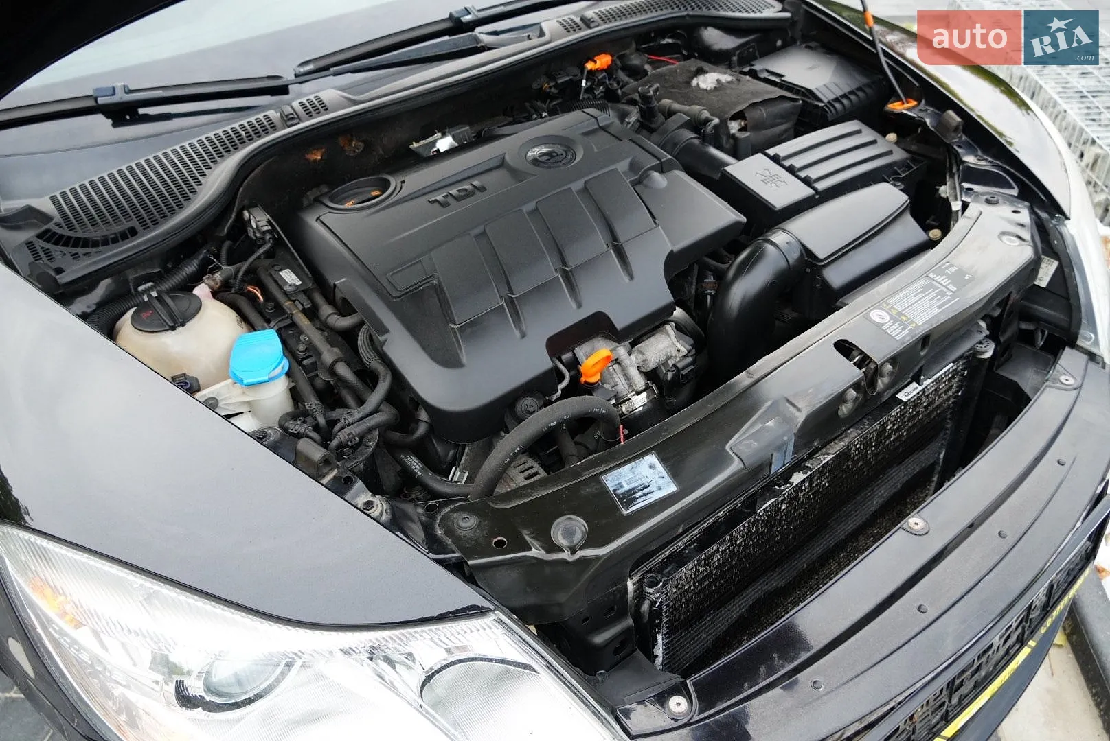 2013 Skoda Octavia - мініатюра 84