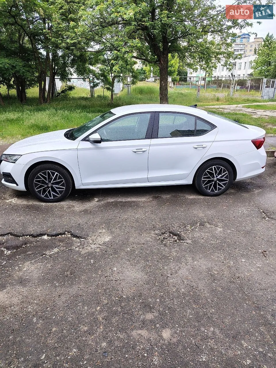 2020 Skoda Octavia - мініатюра 3