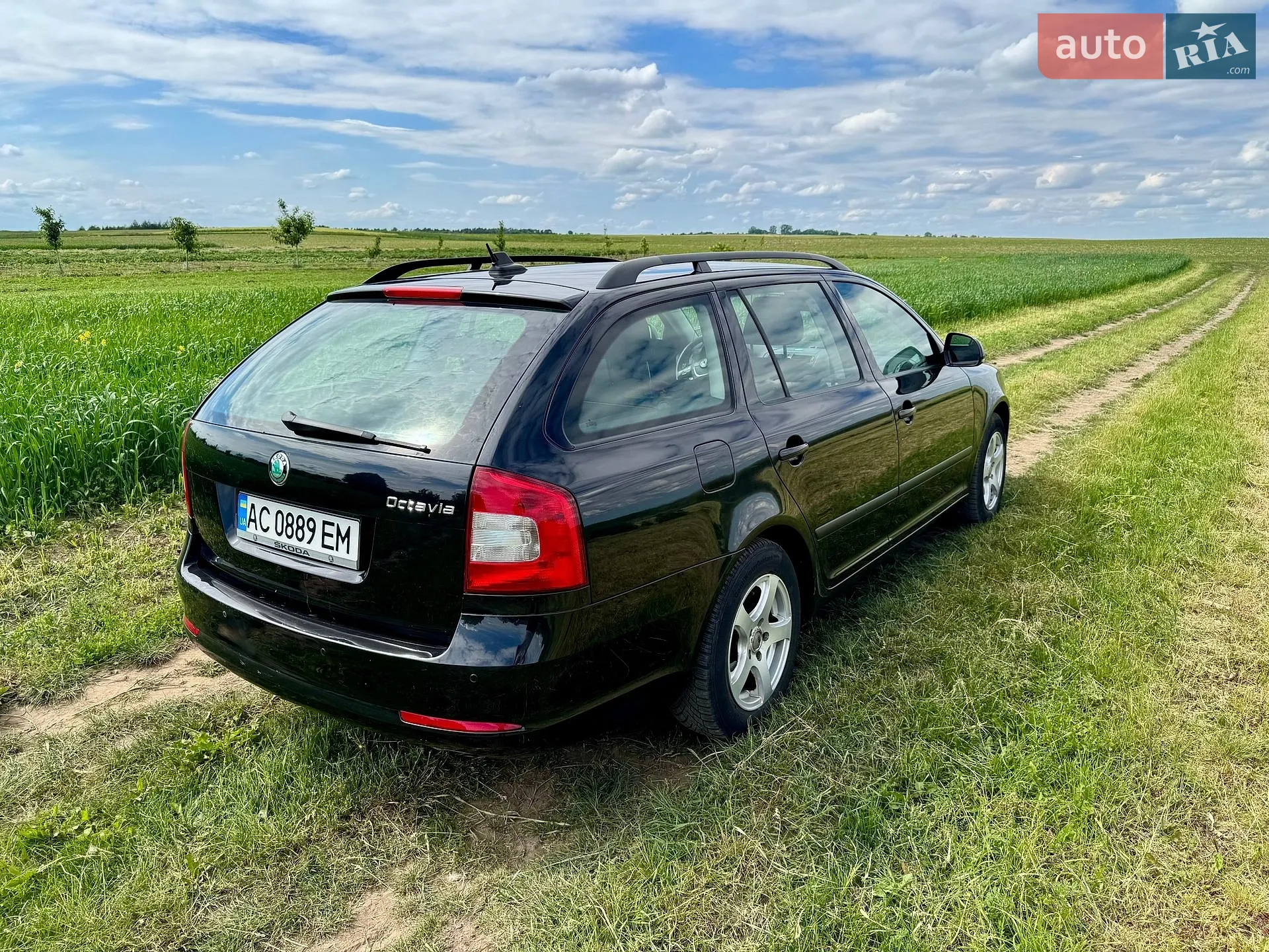 2012 Skoda Octavia - мініатюра 3