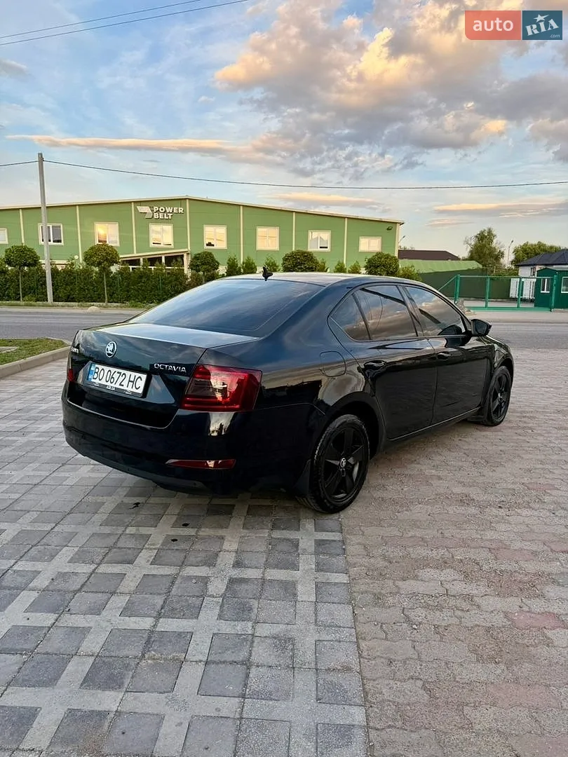 2015 Skoda Octavia - мініатюра 5