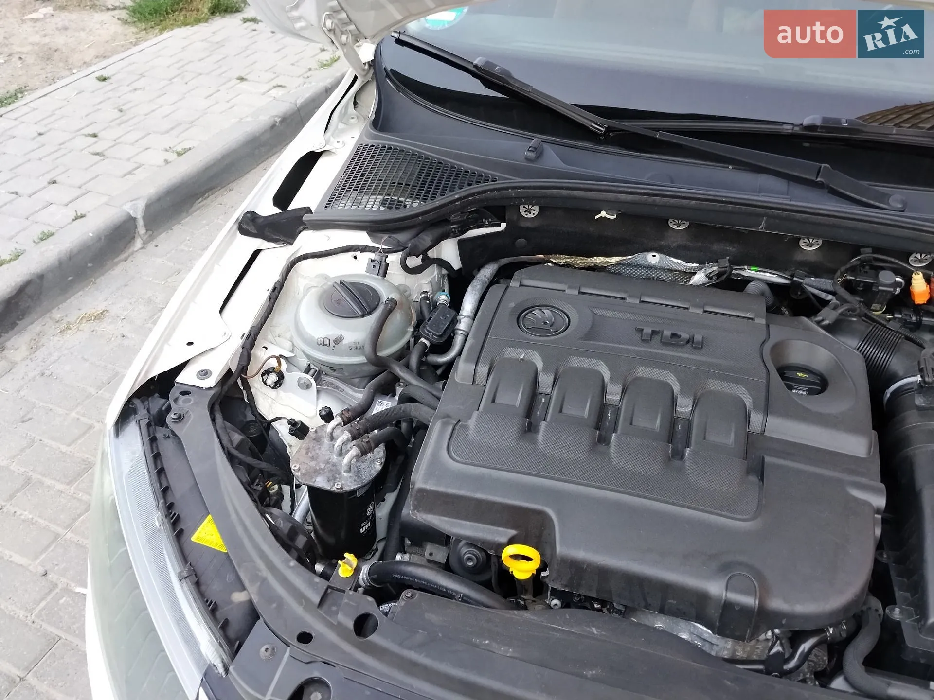 2015 Skoda Octavia - мініатюра 13