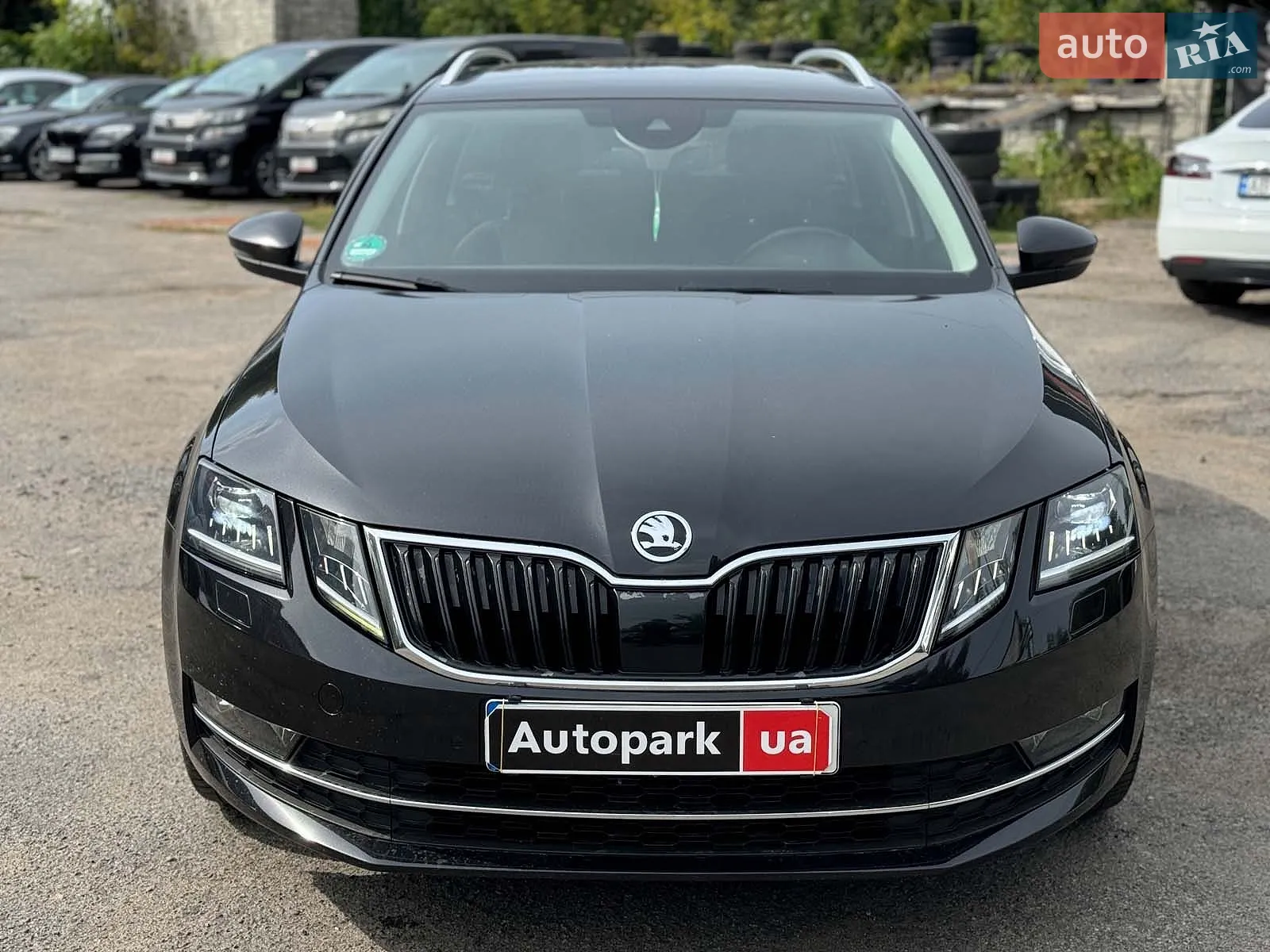 2017 Skoda Octavia - мініатюра 2