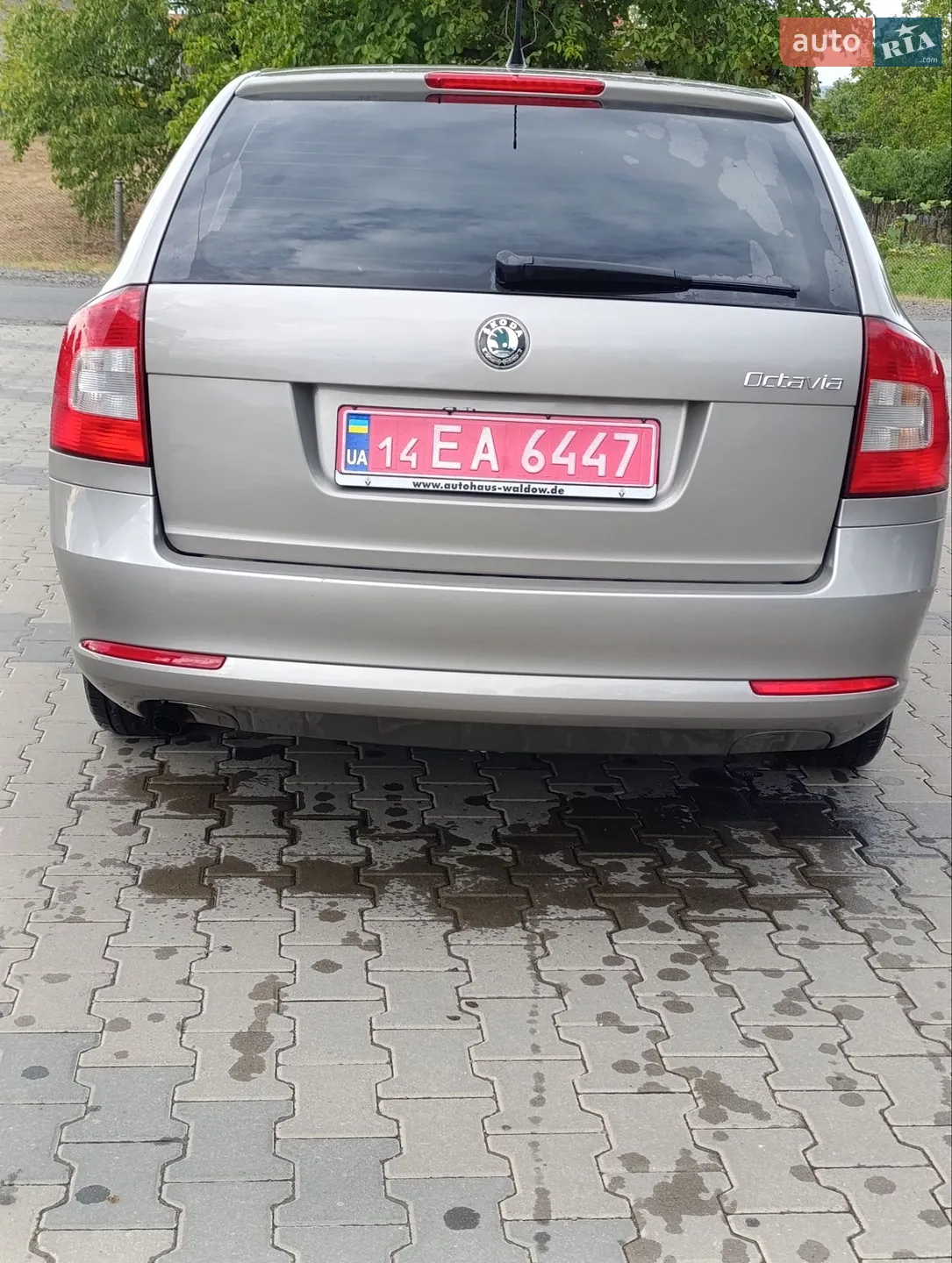 2010 Skoda Octavia - мініатюра 6