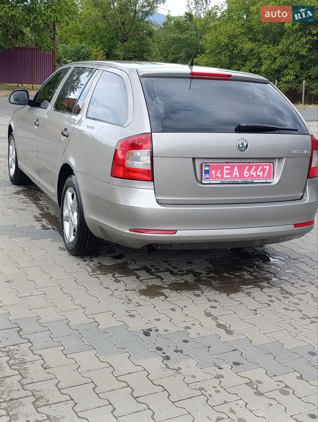 2010 Skoda Octavia - мініатюра 4