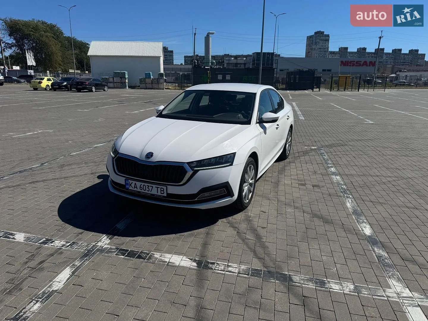 2020 Skoda Octavia - фото 1
