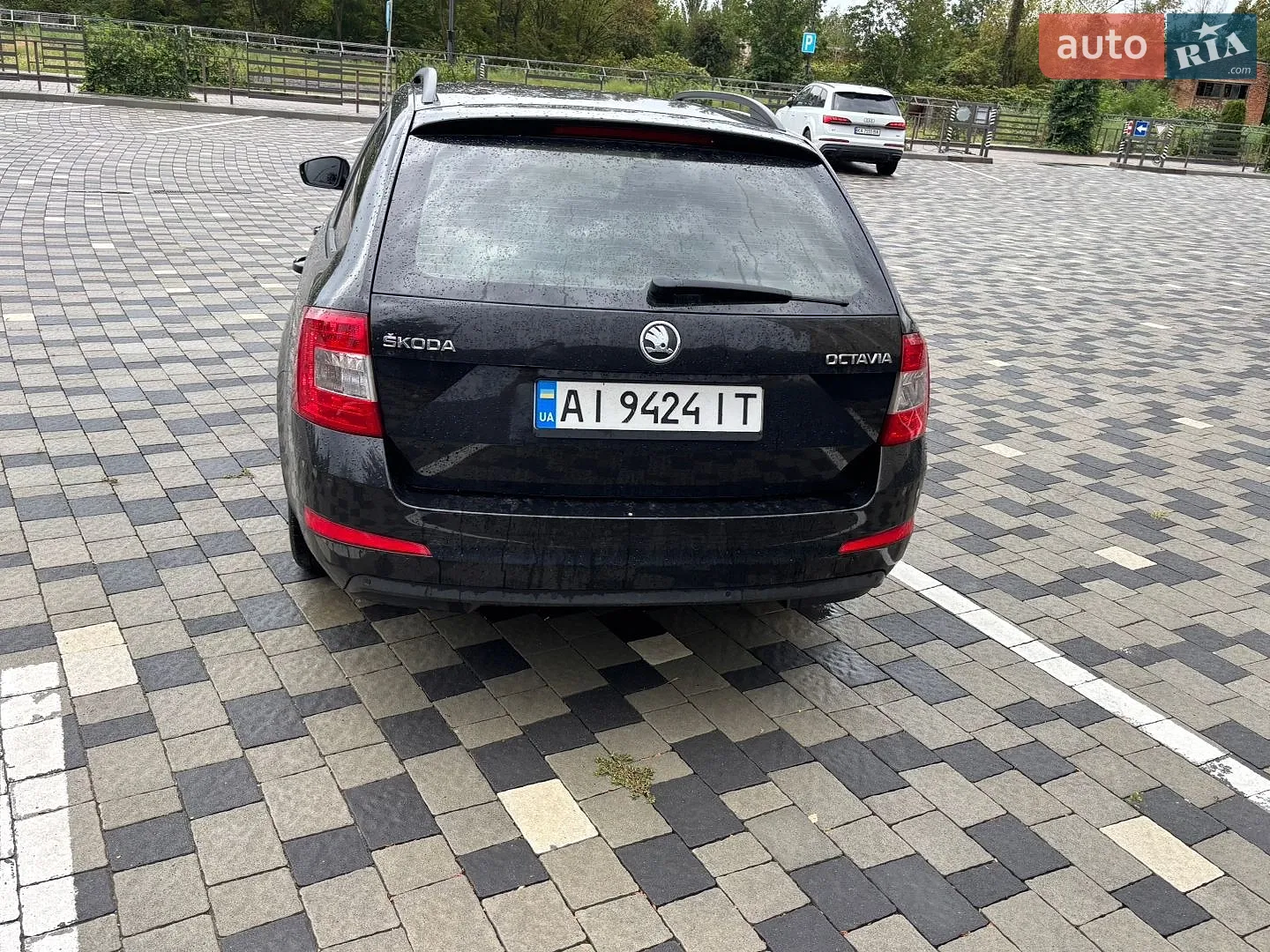 2013 Skoda Octavia - мініатюра 5
