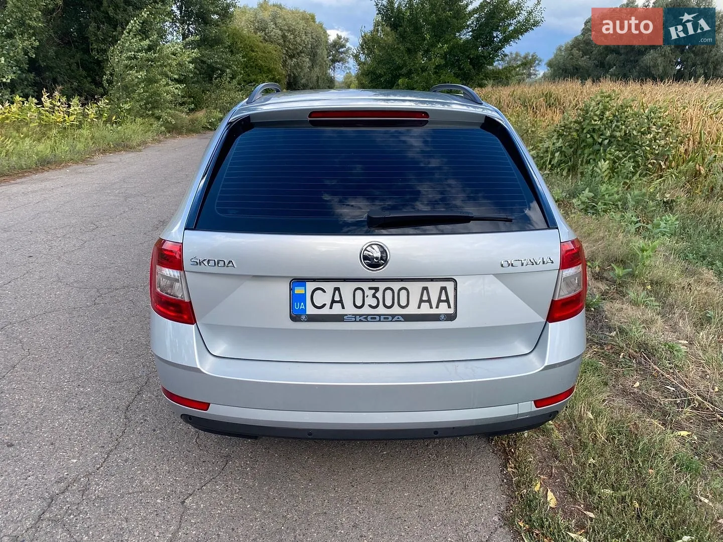 2019 Skoda Octavia - мініатюра 4
