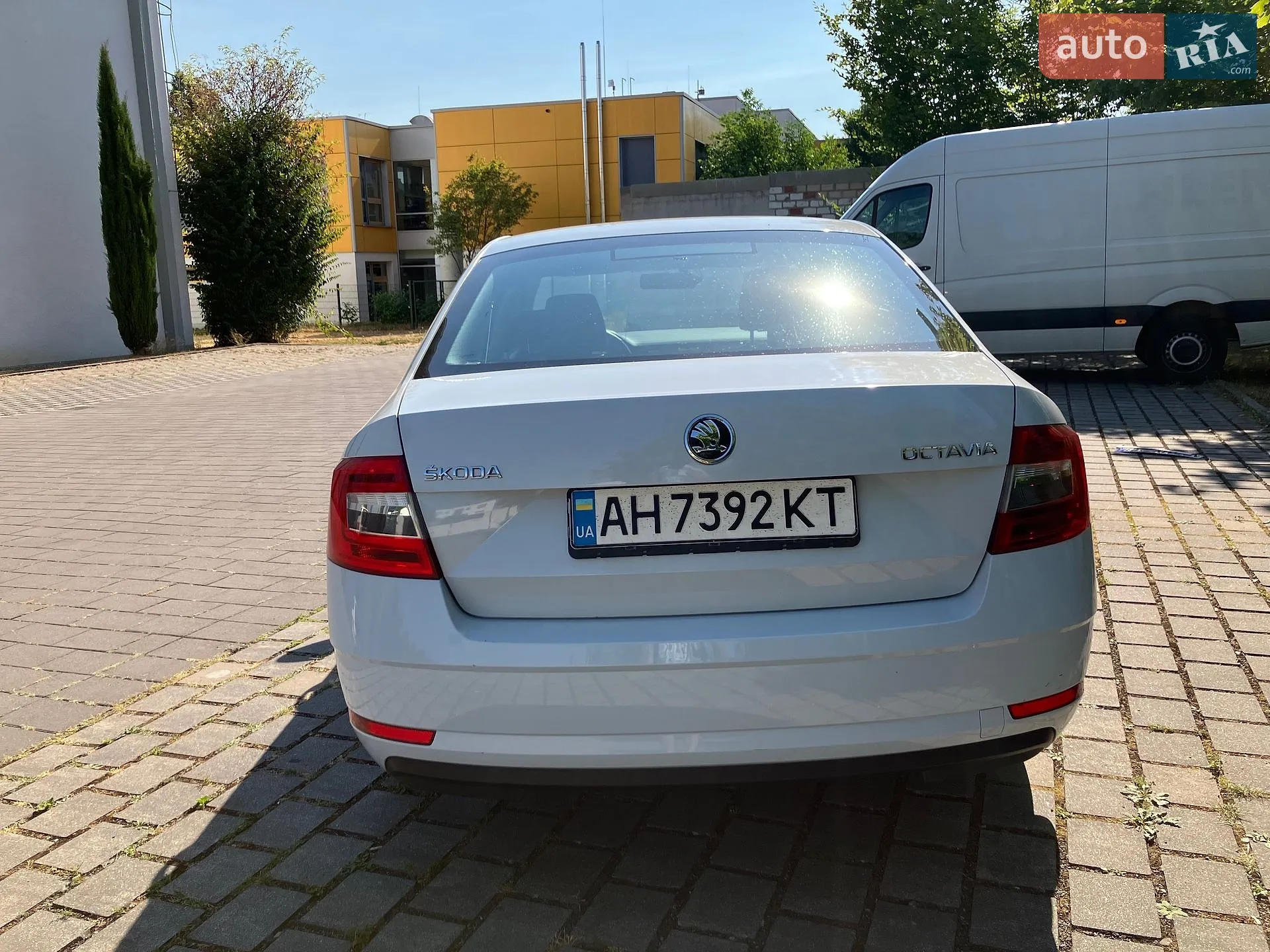 2019 Skoda Octavia - мініатюра 6