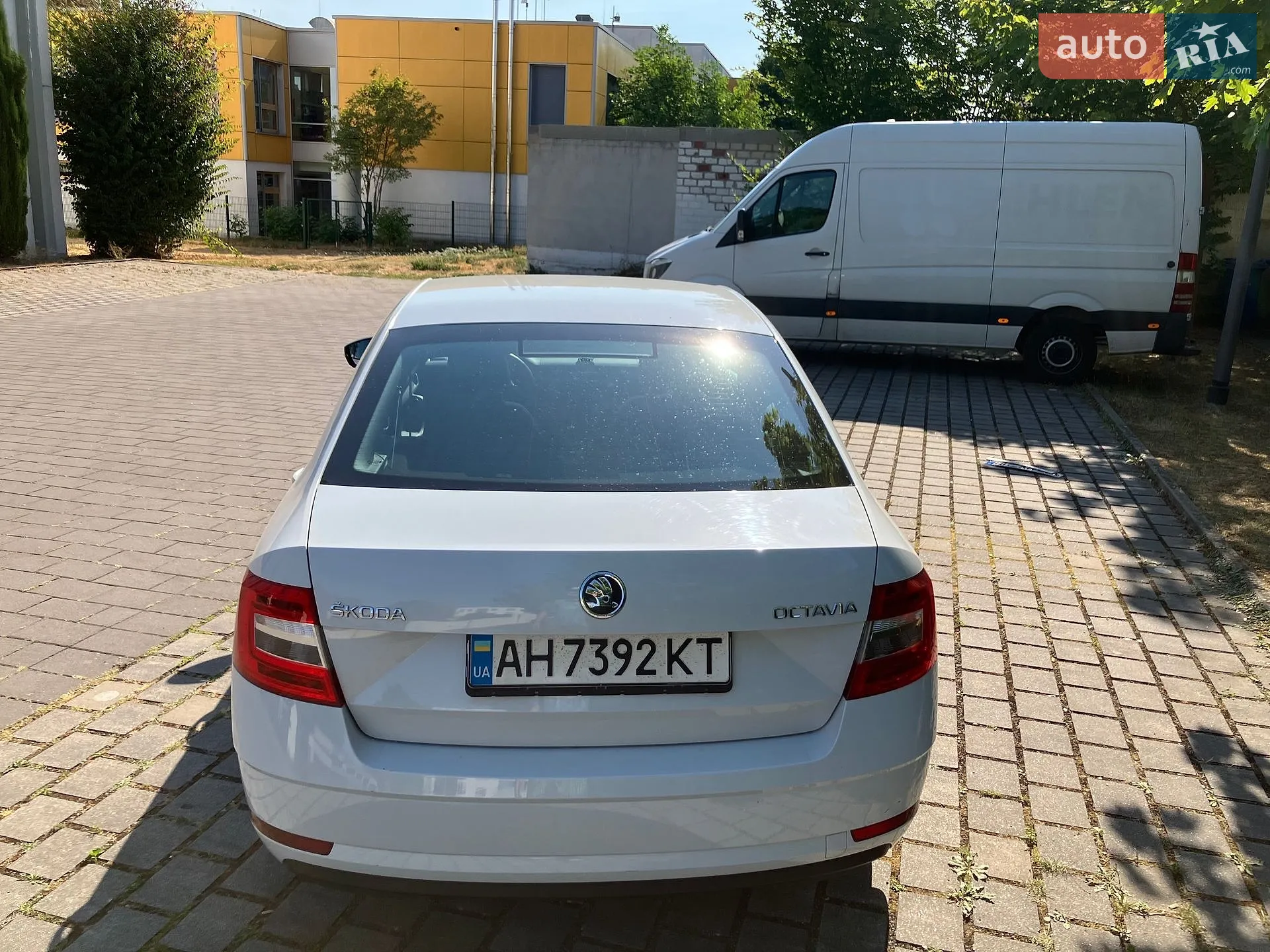 2019 Skoda Octavia - мініатюра 7