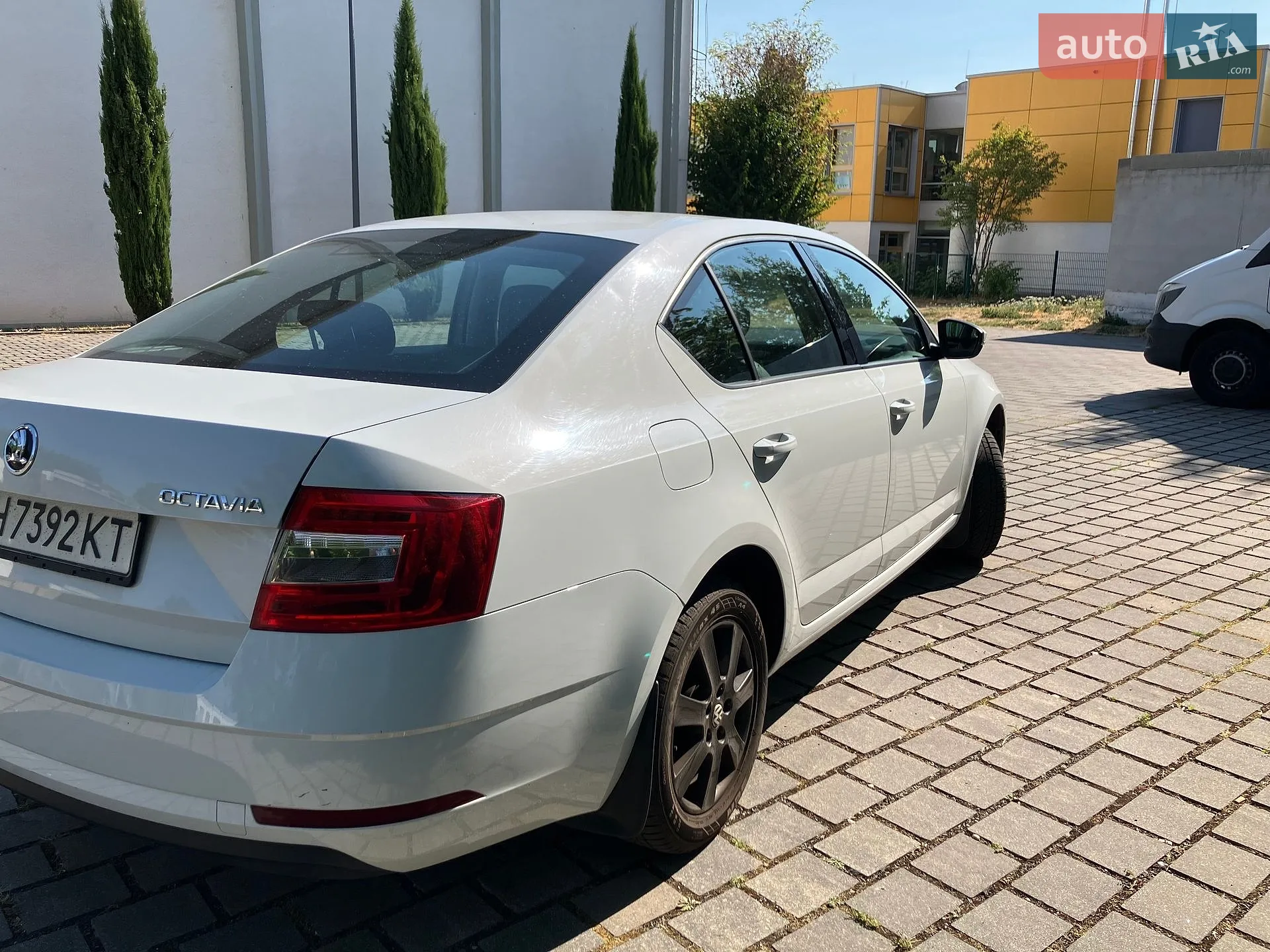 2019 Skoda Octavia - мініатюра 8