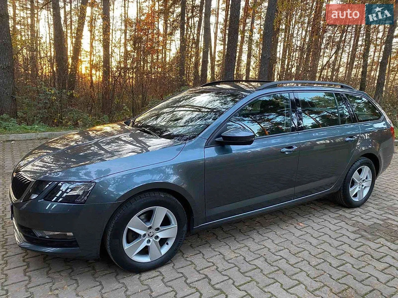 2019 Skoda Octavia - фото 1