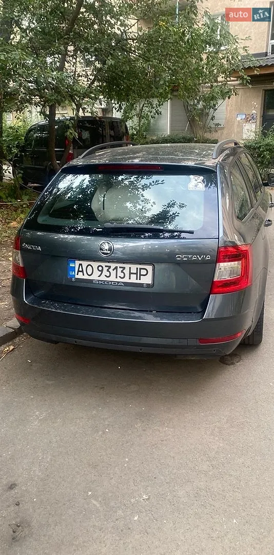 2019 Skoda Octavia - мініатюра 4