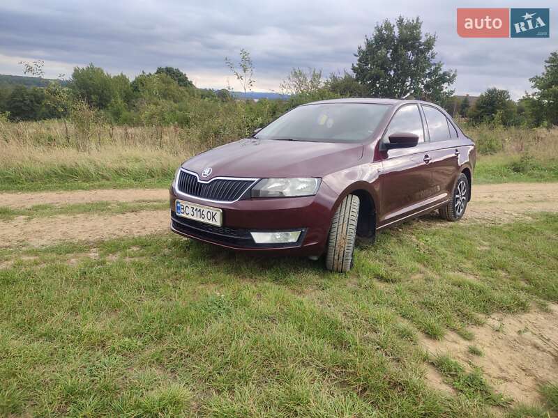 Лифтбек Skoda Rapid 2013 в Стебнику