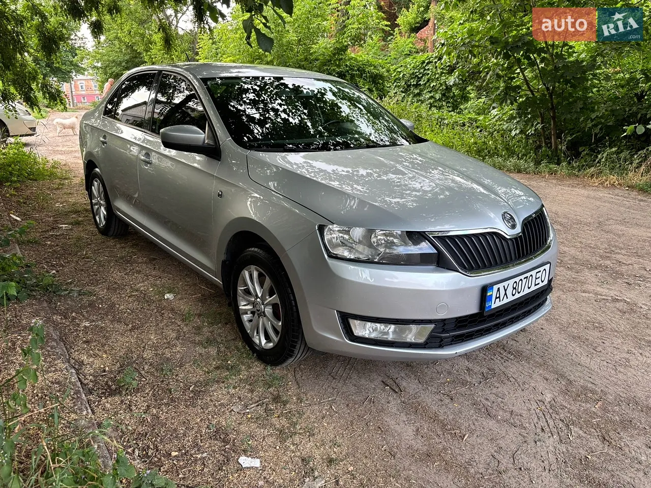 2013 Skoda Rapid - мініатюра 6