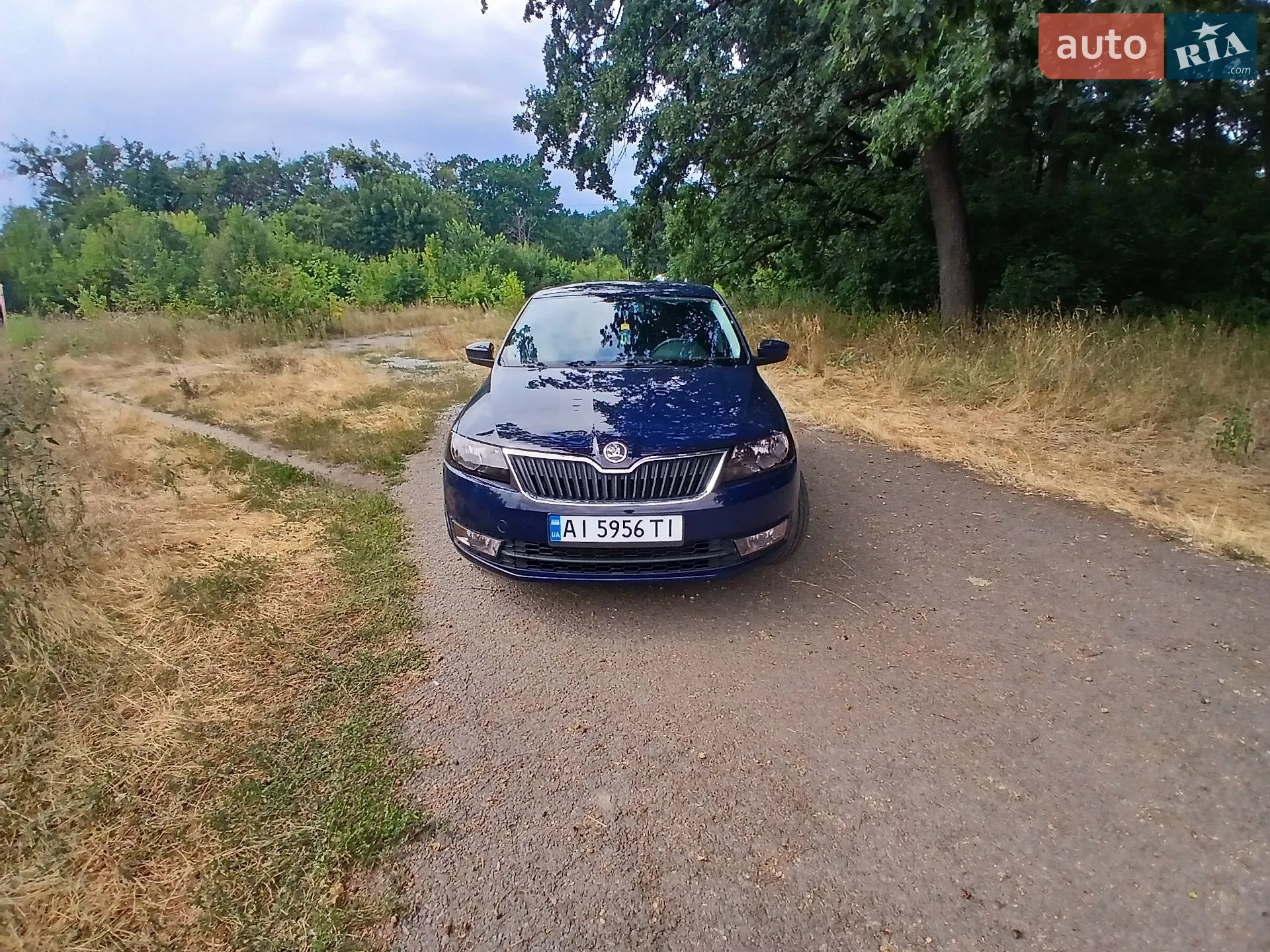 2013 Skoda Rapid - фото 1