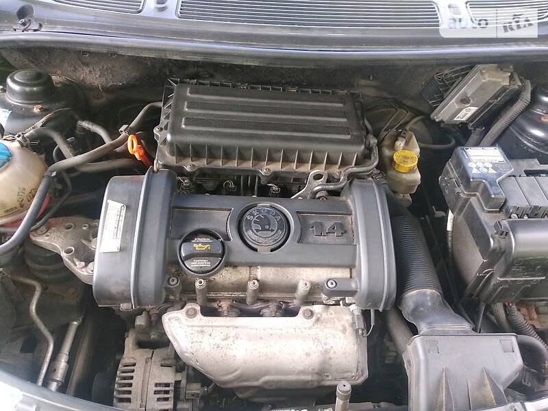 Мікровен Skoda Roomster 2008 в Богородчанах