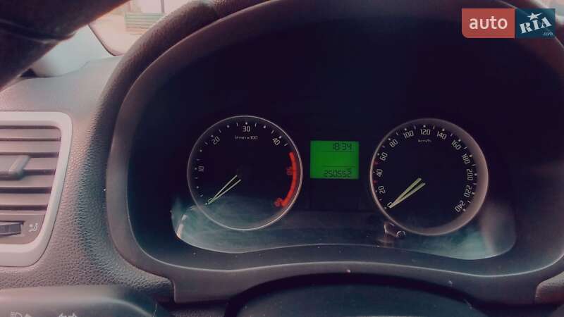 Мікровен Skoda Roomster 2009 в Ємільчиному