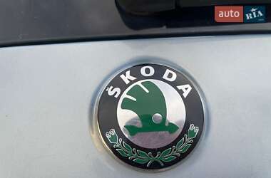 Микровэн Skoda Roomster 2009 в 