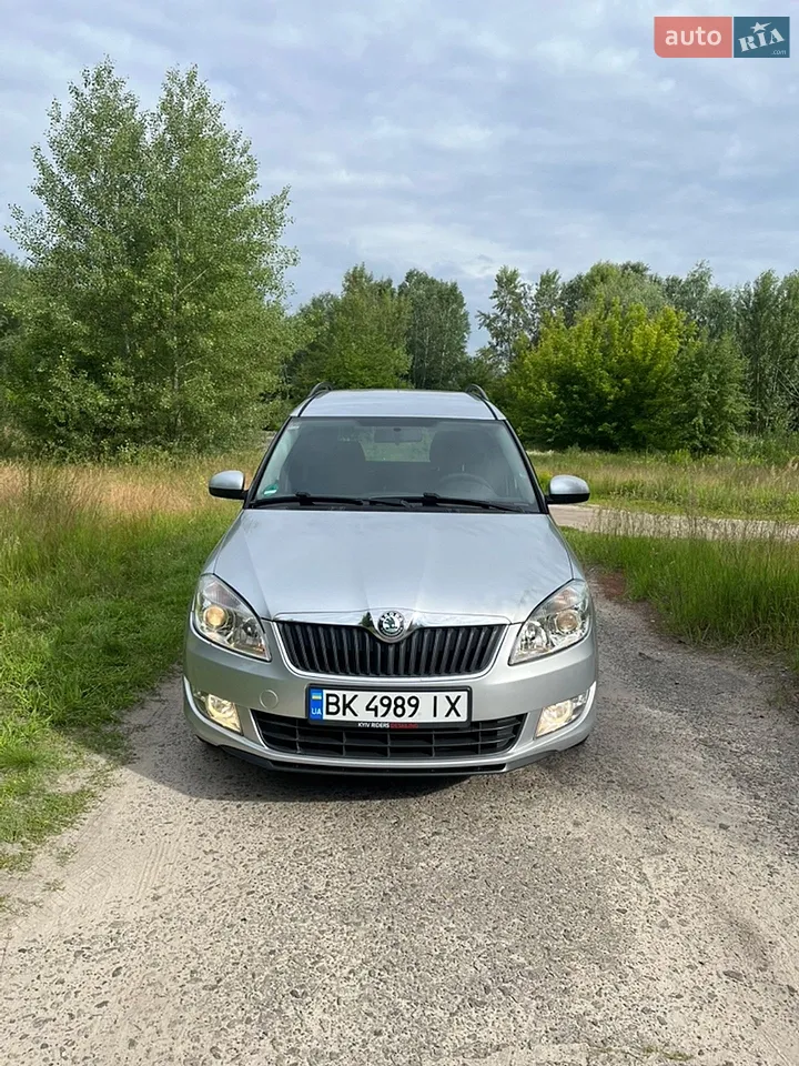 2010 Skoda Roomster - мініатюра 57
