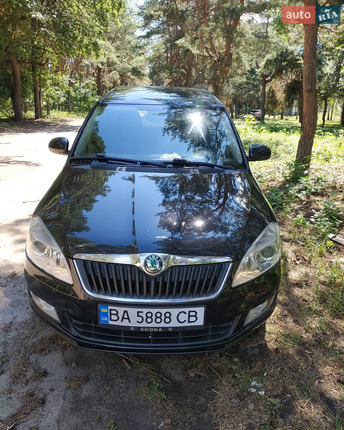 2010 Skoda Roomster - фото 1