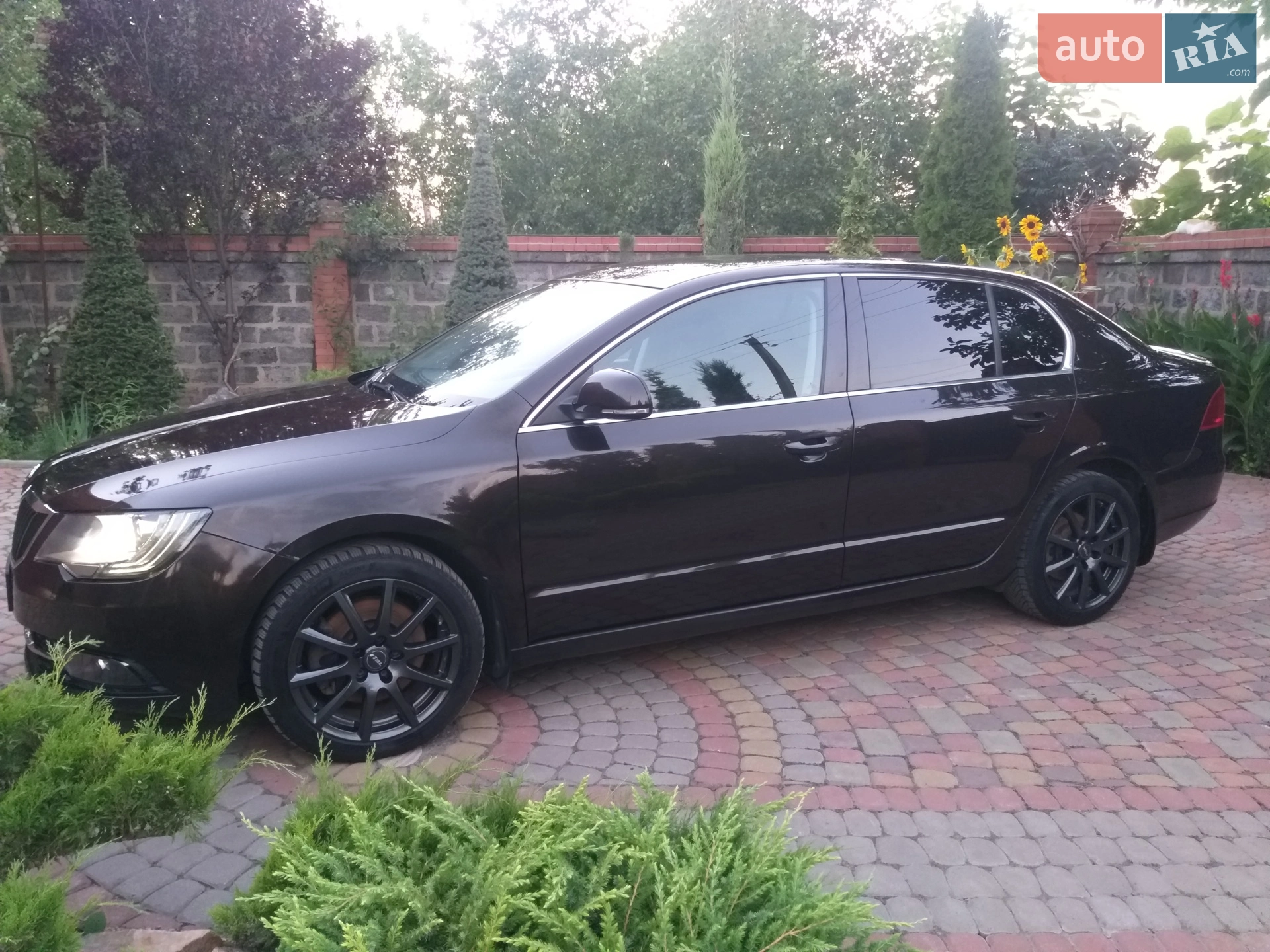 2013 Skoda Superb - фото 1