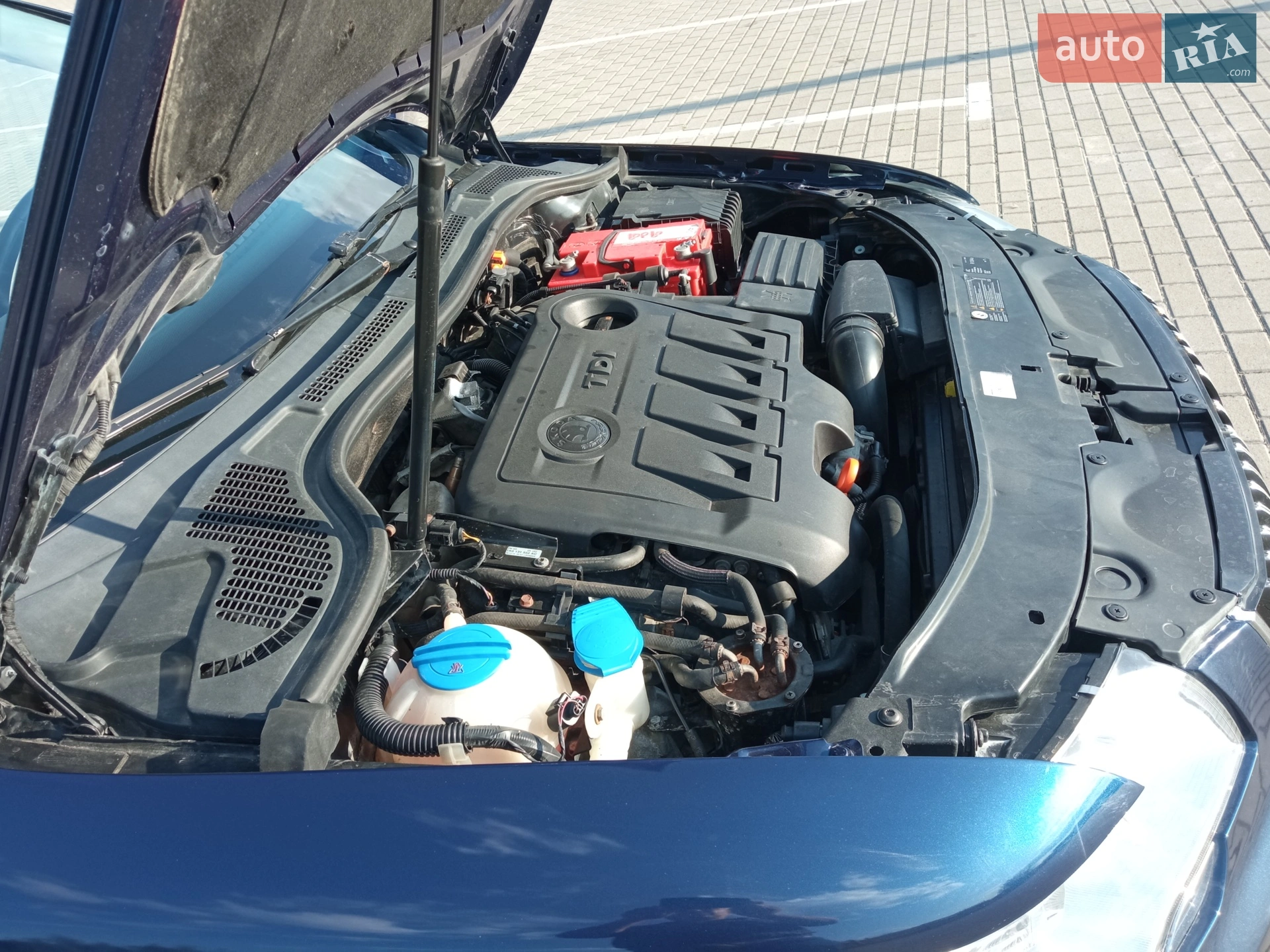 2011 Skoda Superb - мініатюра 8