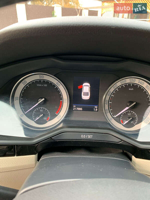 Лифтбек Skoda Superb 2018 в Вознесенске фото 21 Лифтбек Skoda Superb 2018 в Вознесенске