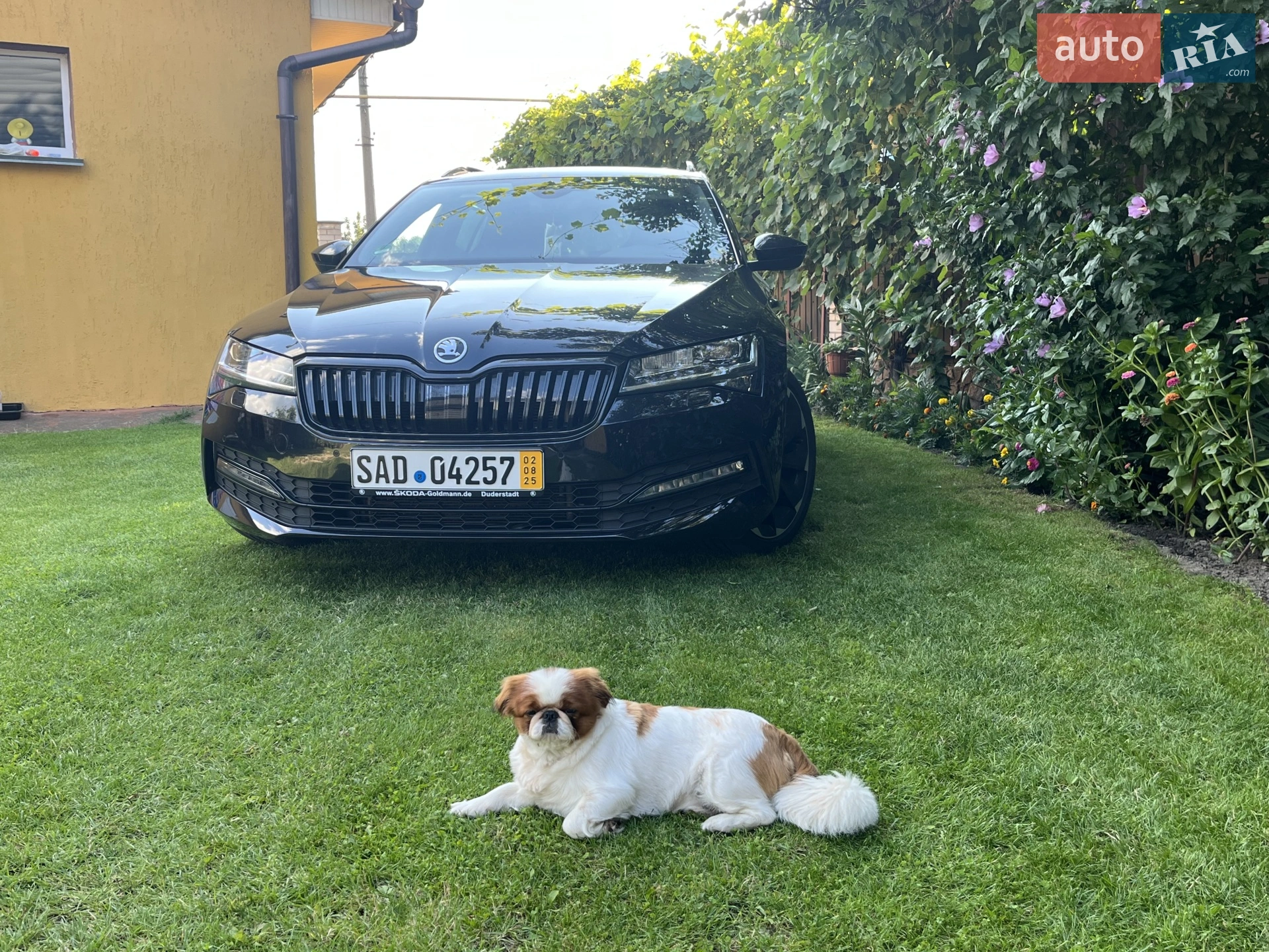 2020 Skoda Superb - мініатюра 2