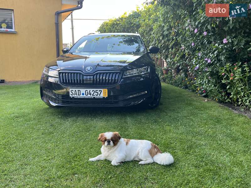 Універсал Skoda Superb 2020 в Коростені