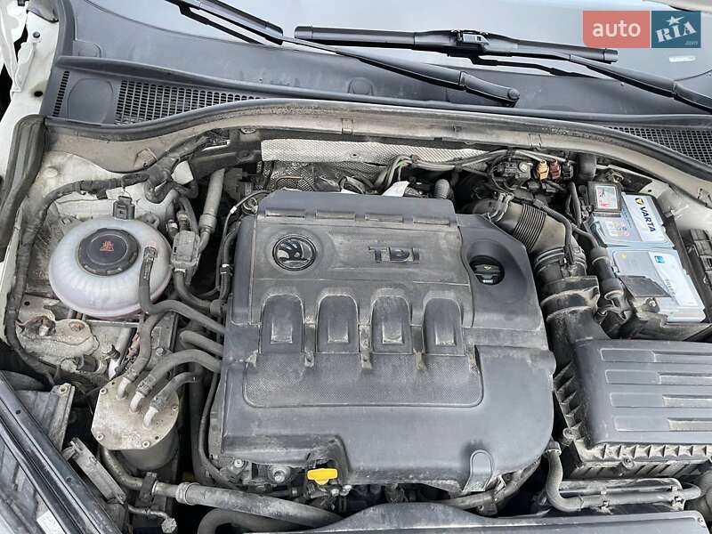 Універсал Skoda Superb 2018 в Білогородці