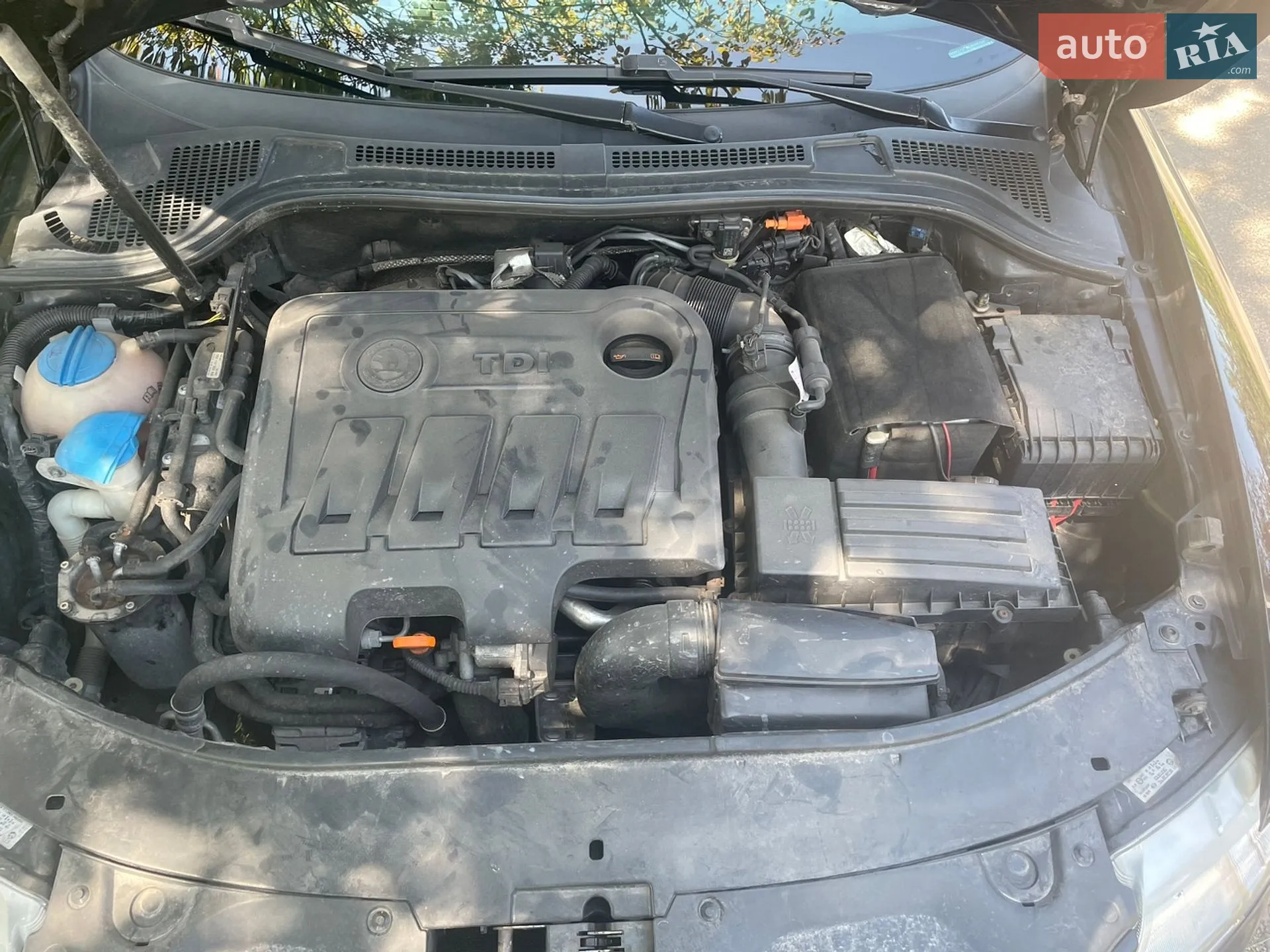 2012 Skoda Superb - мініатюра 12