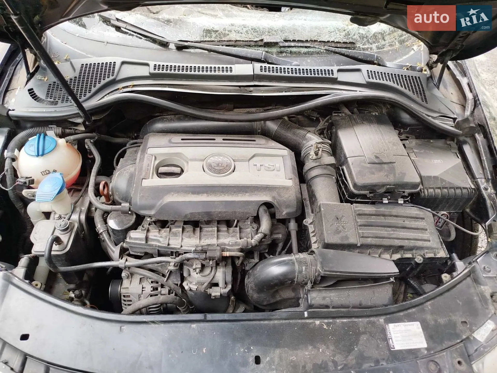 2013 Skoda Superb - фото 1