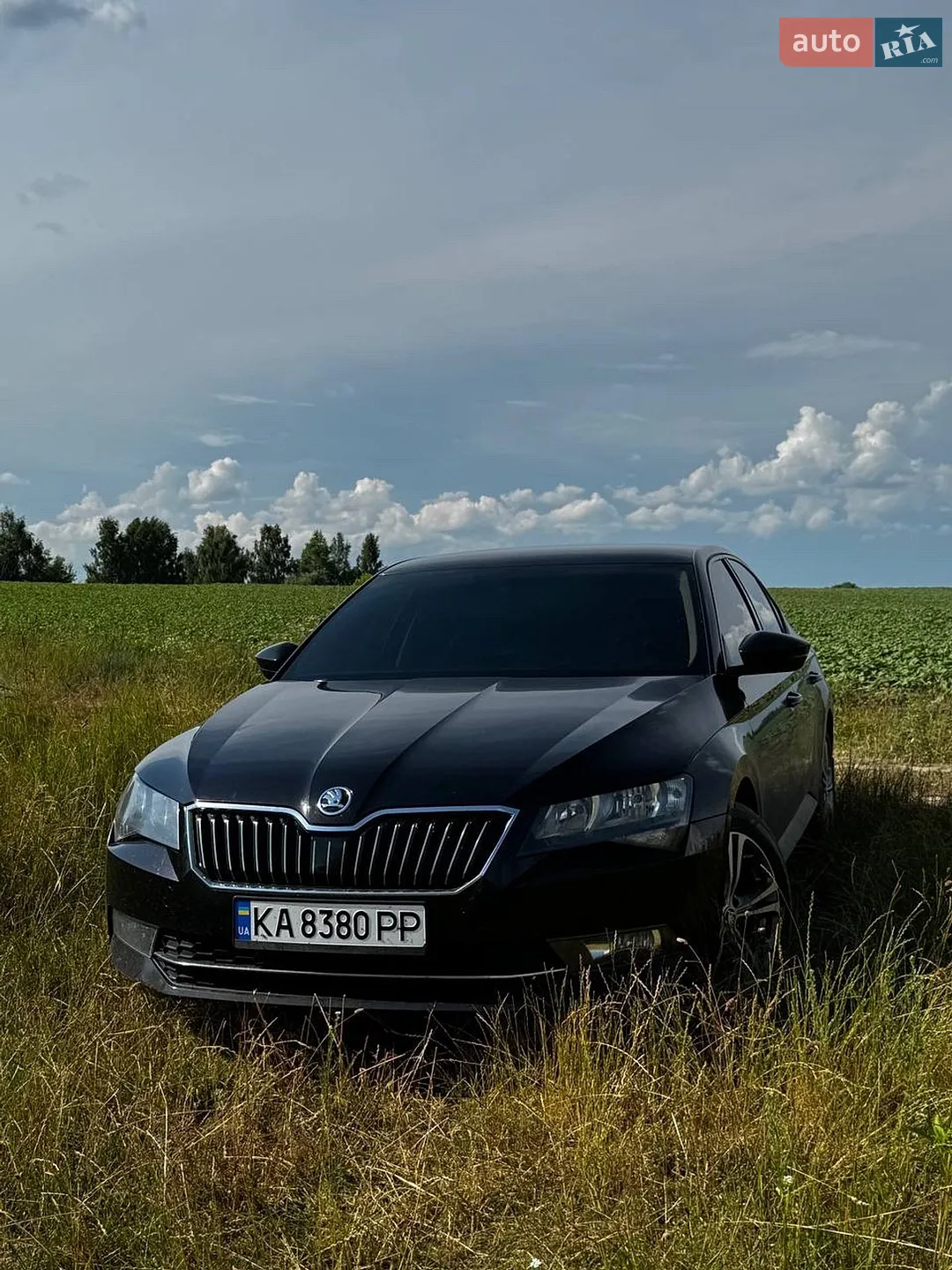 2015 Skoda Superb - мініатюра 5