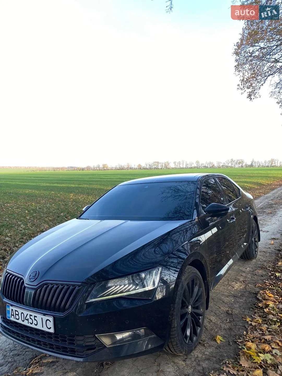2015 Skoda Superb - мініатюра 3