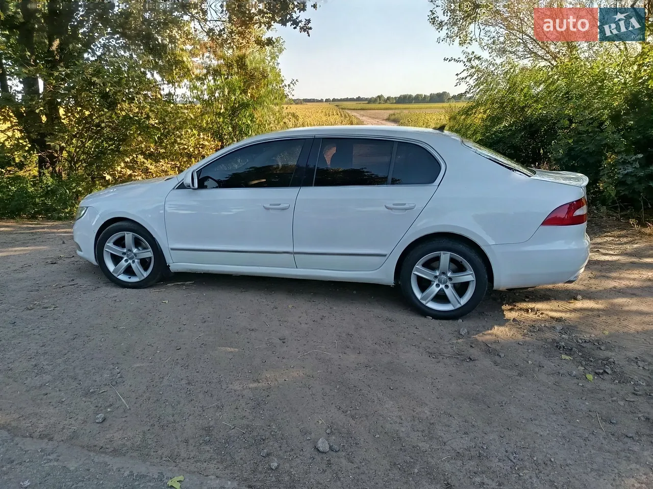 2010 Skoda Superb - мініатюра 13