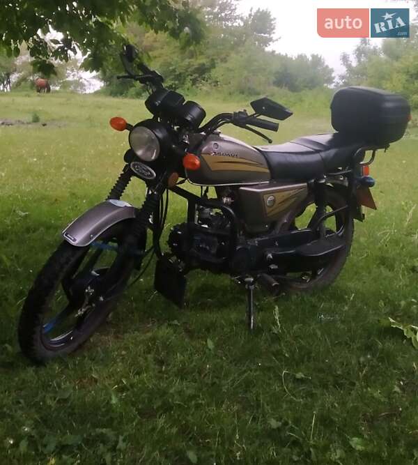 Мотоцикл Классік Spark SP 110C-2C 2018 в Теофіполі