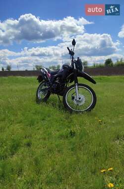 Мотоцикл Внедорожный (Enduro) Spark SP 250D-1 2020 в Тальном