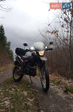 Мотоцикл Многоцелевой (All-round) Spark SP 2021 в 