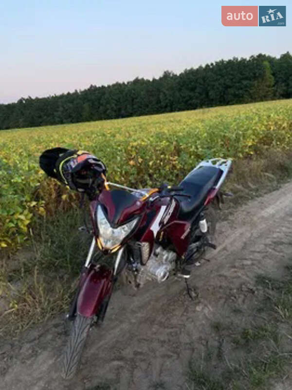 Мини спорт Sparta SD 200 2019 в 