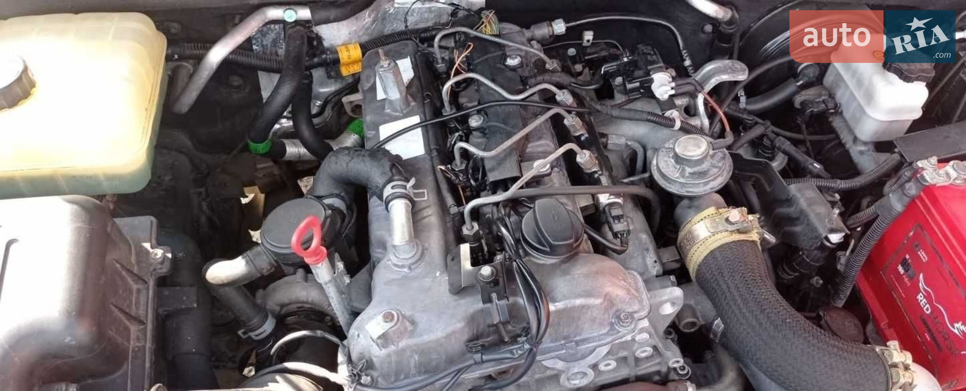 2010 SsangYong Kyron - мініатюра 18