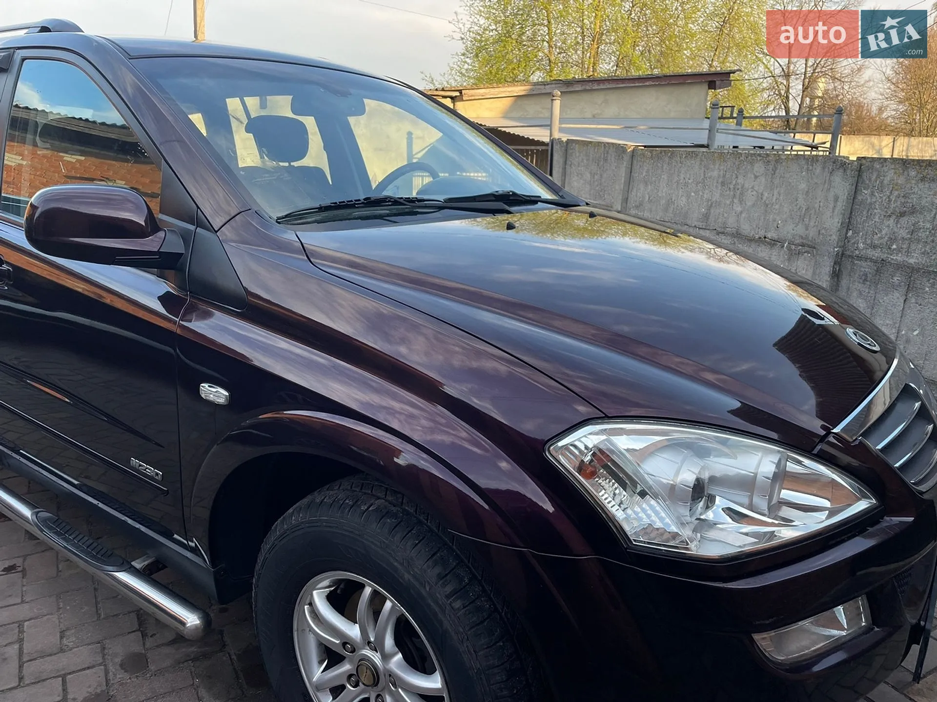 Ssangyong Kyron 2010 VIN Y7WDJ6M00A0008095 фото оголошення 14 з 21