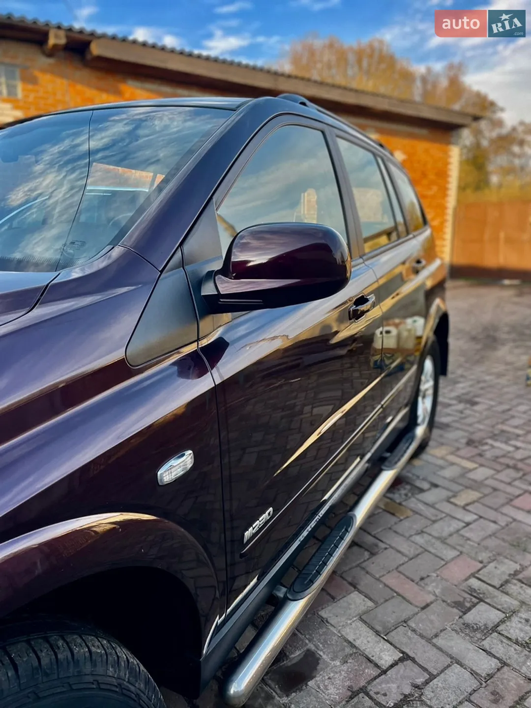 Ssangyong Kyron 2010 VIN Y7WDJ6M00A0008095 фото оголошення 16 з 21