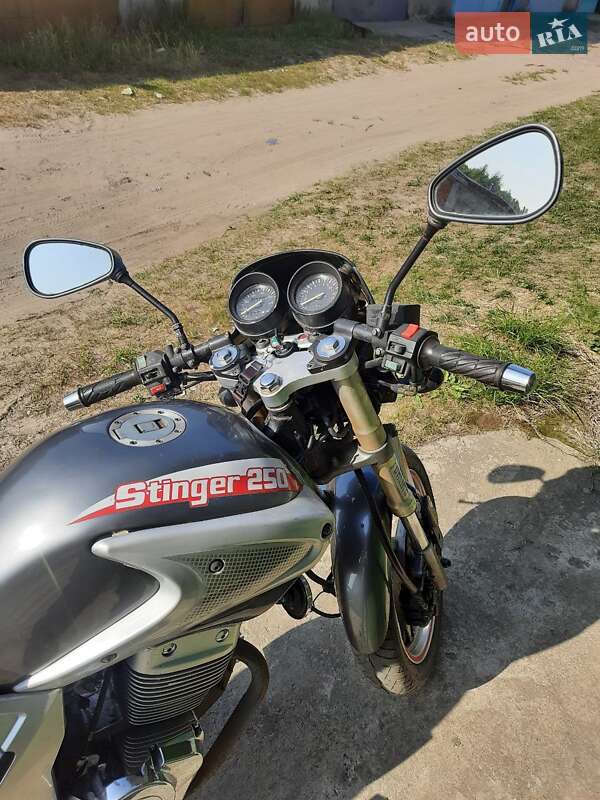 Мотоцикл Без обтікачів (Naked bike) Stinger 250 2008 в Шостці
