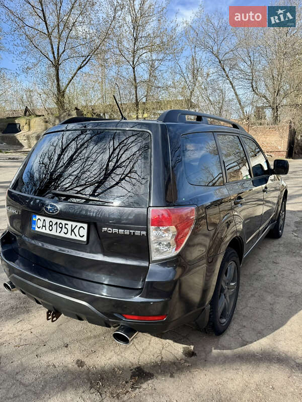 Внедорожник / Кроссовер Subaru Forester 2008 в Умани