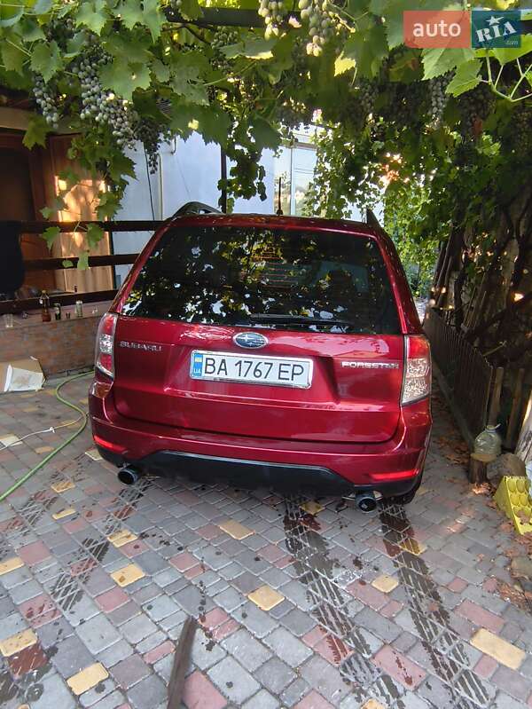 Внедорожник / Кроссовер Subaru Forester 2008 в Кропивницком фото 5 Внедорожник / Кроссовер Subaru Forester 2008 в Кропивницком